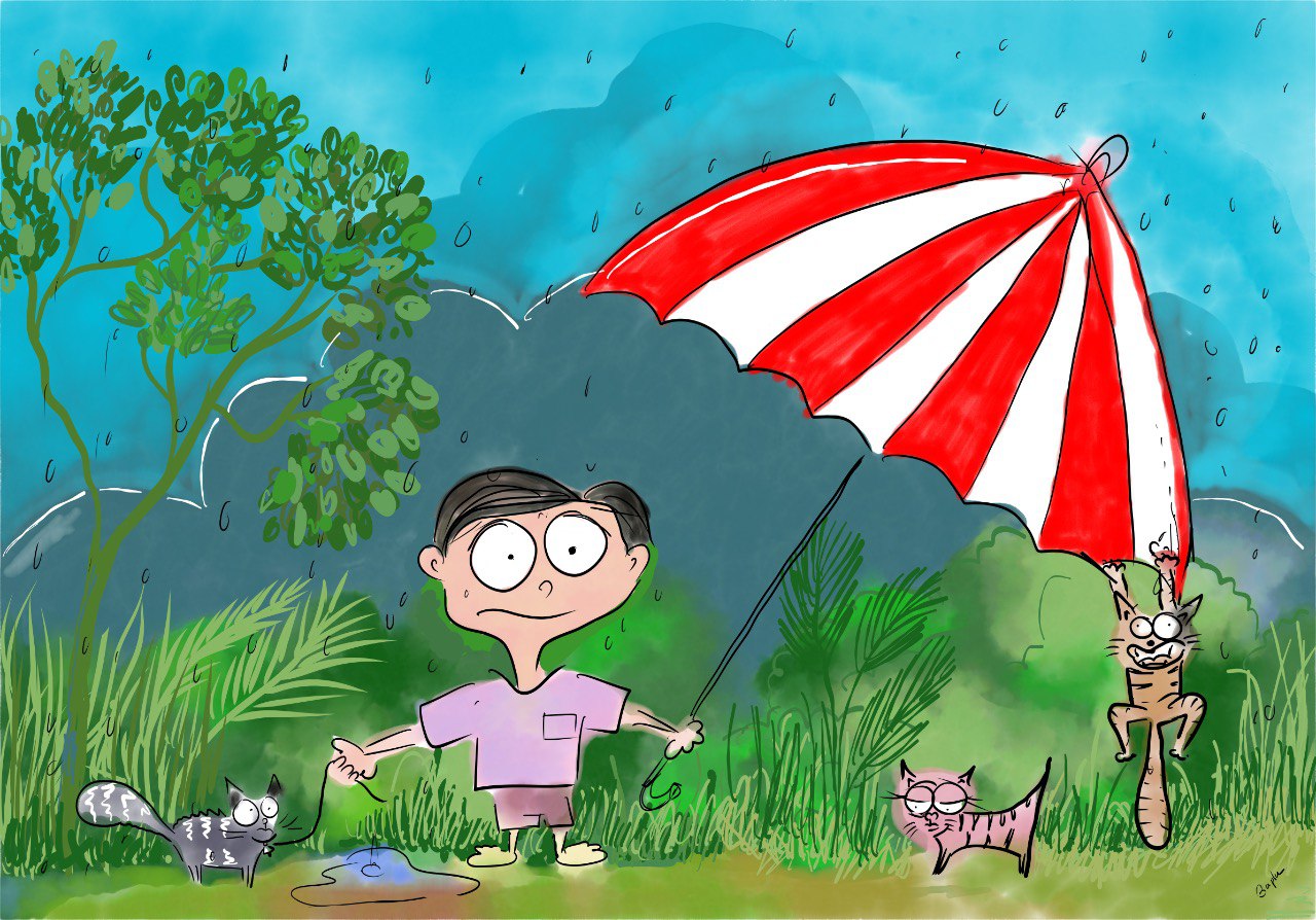 Under the Stripped Umbrella